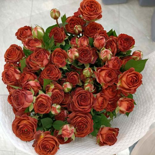 【秒杀福利】南粤推荐-多头巧克力泡泡 10枝 商品图5