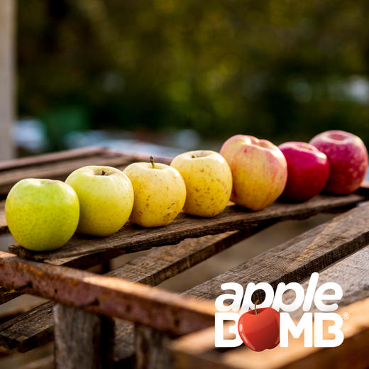 【MIX限定】苹果缤纷混合装 申通快递 商品图13