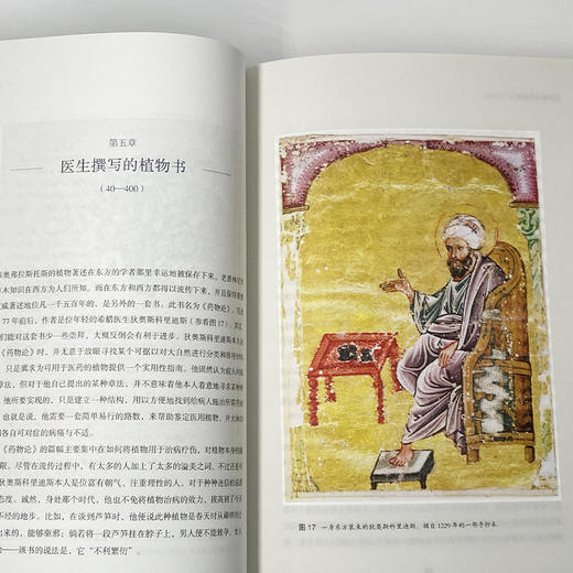 植物命名的故事 商品图2