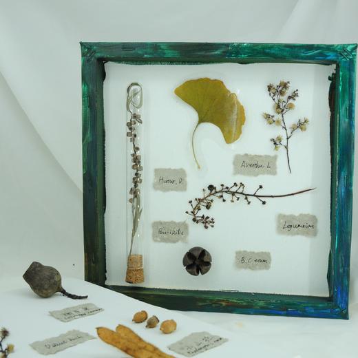 手作植物标本 | 农园活动 * Hand - made Woody plant specimen | Farm activities 商品图1