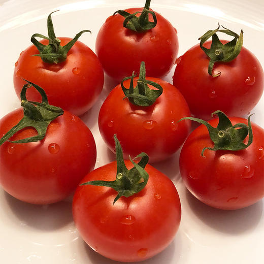 日本中玉品种温室有机番茄  |  自然成熟采摘，一颗颗均匀剔透的红，精巧可爱的扁圆，皮极其薄，用水洗洗就会裂开，吃起来绵绵糯糯的，果汁很浓很足！ 商品图4