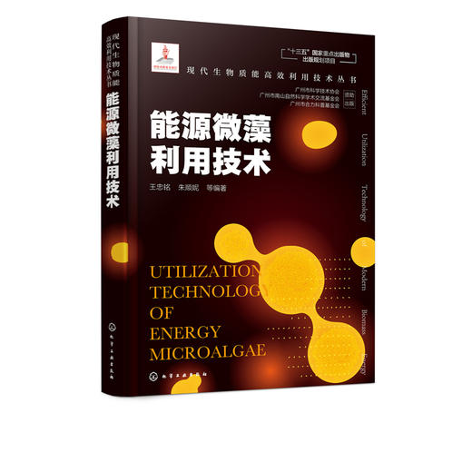 现代生物质能高效利用技术丛书 能源微藻利用技术 商品图5