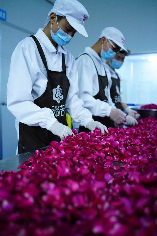 《群里福利品鉴：拍3减12》【民以食为天】九朵玫瑰一个饼/手工制作/不甜不腻 花香浓郁 层层起酥鲜花饼 整整9朵花芯才做一枚饼，完超所有鲜花饼 商品图3