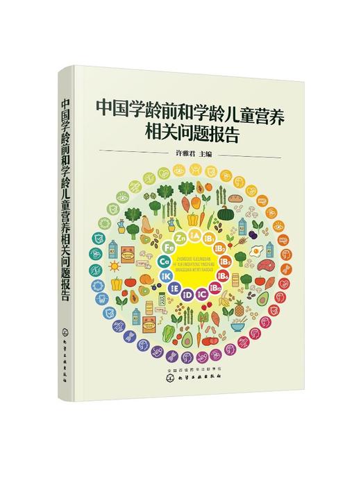 中国学龄前和学龄儿童营养相关问题报告 许雅君 改善儿童青少年营养健康状况干预措施和政策书 营养不良膳食结构失衡饮食行为问题 商品图0