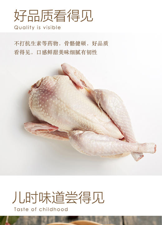 九华山老母鸡约900g【021】 商品图2