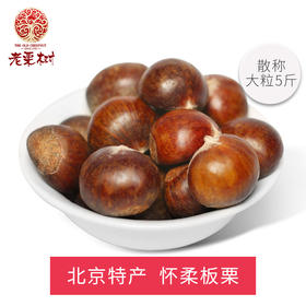 【老栗树】怀柔板栗 生鲜板栗 5斤装