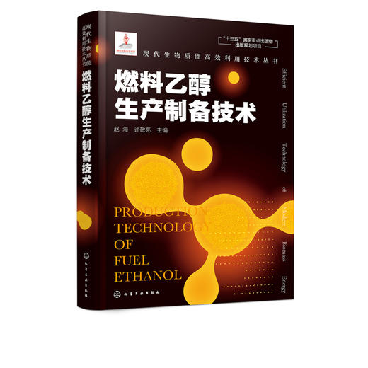 现代生物质能高效利用技术丛书 燃料乙醇生产制备技术 商品图5