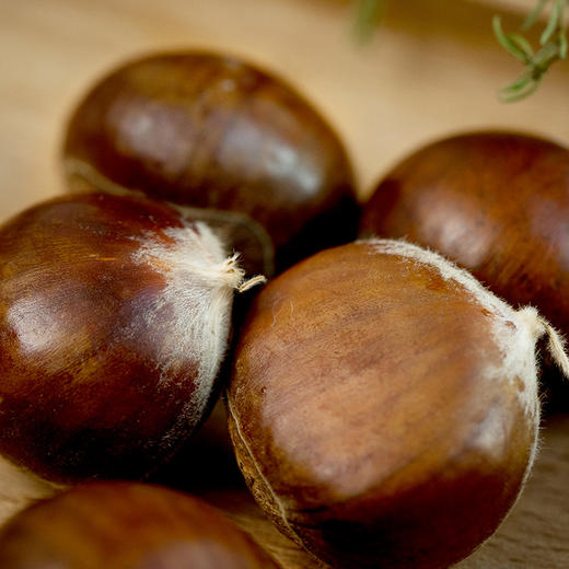 【老栗树】怀柔板栗 生鲜板栗 5斤装 商品图1