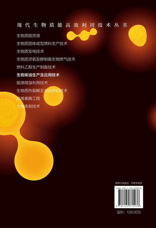 现代生物质能高效利用技术丛书 生物柴油生产及应用技术 商品图1