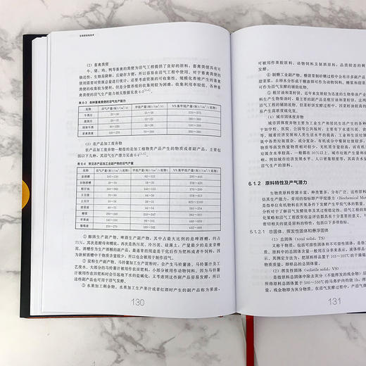 现代生物质能高效利用技术丛书 生物质发电技术 商品图4