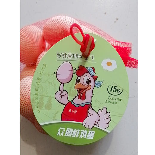 【9.9元/兜】众盟兜装鲜鸡蛋15枚650g（0803289） 商品图0