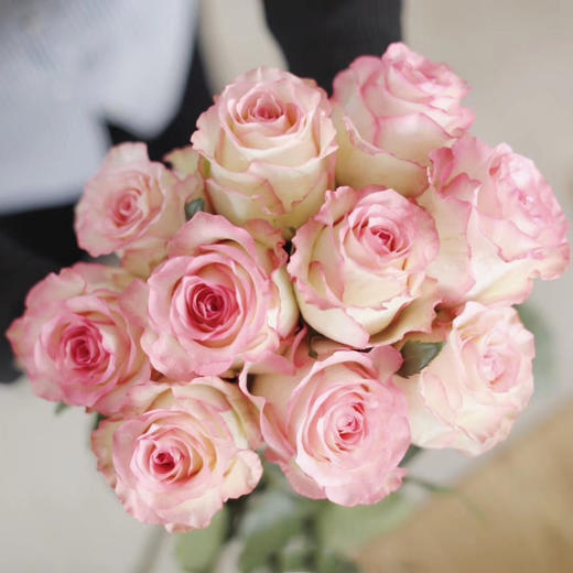 艾莎玫瑰【你生来就值得被爱，这点你无须质疑】简小姐精选 新品超稀有温柔粉色A级玫瑰 艾莎 9+1枝（防花损）2束包邮 下单48小时发货 商品图2