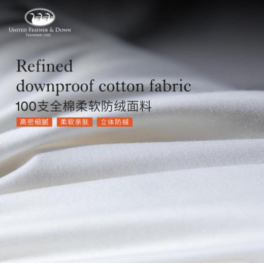 ufd羽绒被95白鹅绒被芯冬被单双人加厚保暖五星酒店被 商品图2