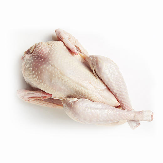 【秒杀年货】九华山老母鸡（约1kg）【021】 商品图2