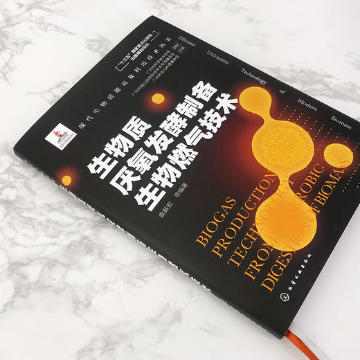 现代生物质能高效利用技术丛书 燃料乙醇生产制备技术 商品图4