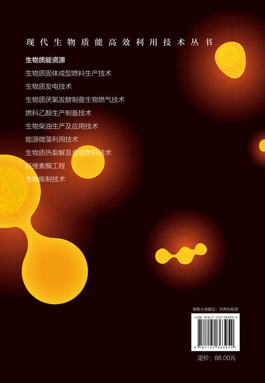 现代生物质能高效利用技术丛书 生物质能资源 商品图1