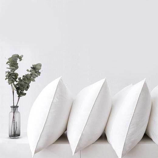 樵纪 | 全棉赛羽绒 枕头芯 可水洗 商品图0