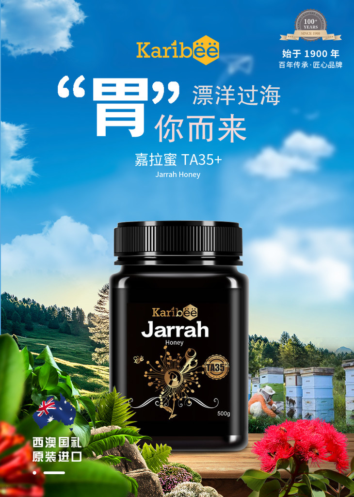 澳洲原装进口可瑞比karibee嘉拉ta35级红柳桉树天然活性蜂蜜麦卢卡sp