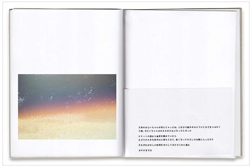 【预订】Rinko Kawauchi:as it is | 川内伦子：如是我闻 商品图2