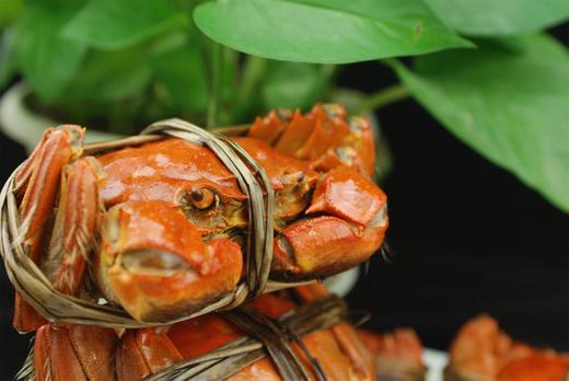 2025年王鲜记大闸蟹礼卡（实物卡） 商品图8