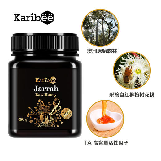 澳洲-原装进口可瑞比/KARIBEE嘉拉TA35+级红柳桉树天然活性蜂蜜【SP】 商品图3