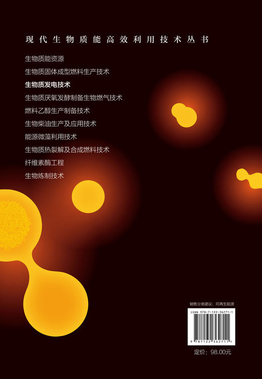 现代生物质能高效利用技术丛书 生物质发电技术 商品图1