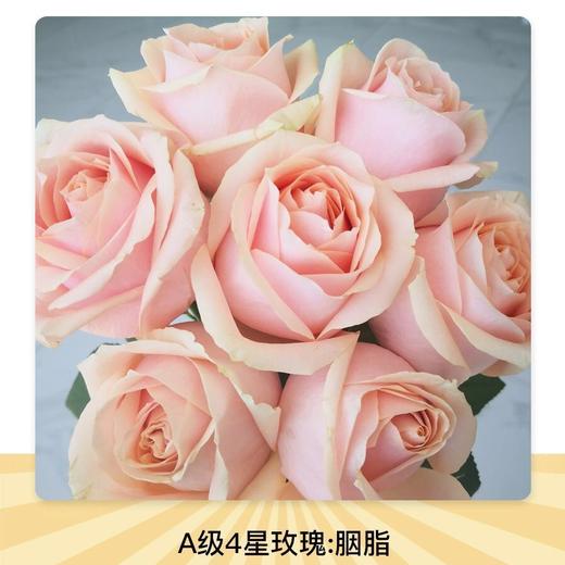 美佳惠生活4a级玫瑰胭脂