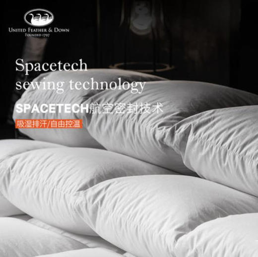 ufd羽绒被95白鹅绒被芯冬被单双人加厚保暖五星酒店被 商品图3