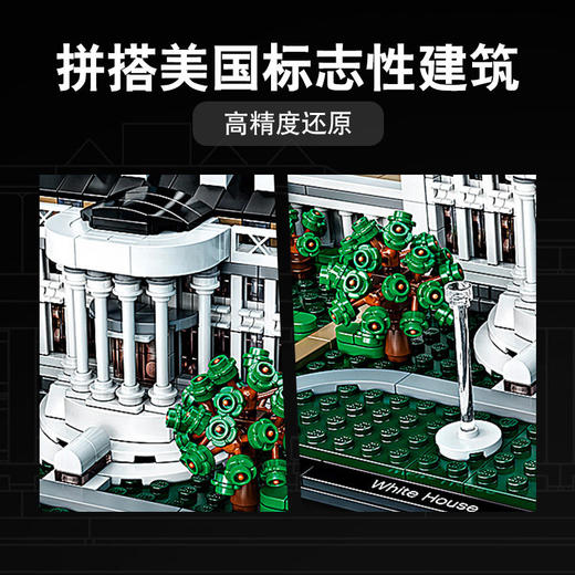 LEGO乐高建筑系列白宫21054小颗粒积木 商品图2
