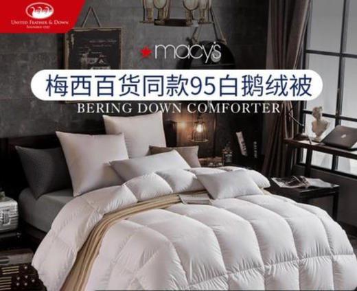 ufd羽绒被95白鹅绒被芯冬被单双人加厚保暖五星酒店被 商品图1