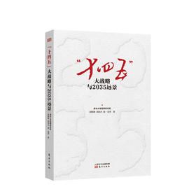 十四五 大战略与2035远景 清华大学国情研究院 编 百年目标经济展望 党政经济理论管理读物书籍
