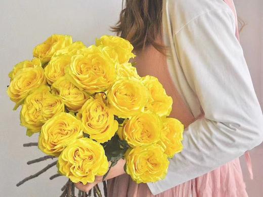 月球漫步玫瑰【我们私奔到月球，让双脚去腾空让我们去感受】简小姐精选 新品A级明媚明黄色奥斯汀玫瑰  月球漫步 9+1枝（防花损）2束包邮 下单48小时发货 商品图8