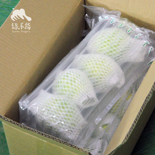 生态西瓜红番石榴 （脆口）| 绿家自产 *Eco-Carmine guava | Self-production 商品图3