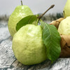 【流口水的番石榴】白心珍珠芭乐 鲜甜清脆 肉厚籽少 新鲜现摘 回味无穷 顺丰包邮 商品缩略图1