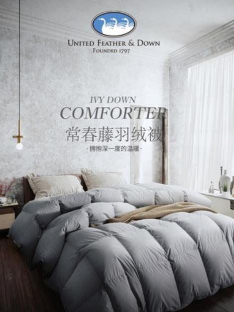 UFD 波兰羽绒被 鸭绒被 白鸭绒 四季被加厚保暖冬被 商品图0