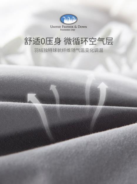 UFD 波兰羽绒被 鸭绒被 白鸭绒 四季被加厚保暖冬被 商品图2