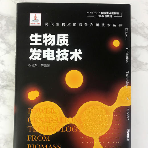 现代生物质能高效利用技术丛书 生物质发电技术 商品图2