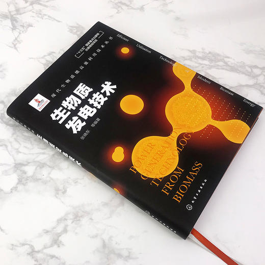 现代生物质能高效利用技术丛书 生物质发电技术 商品图3