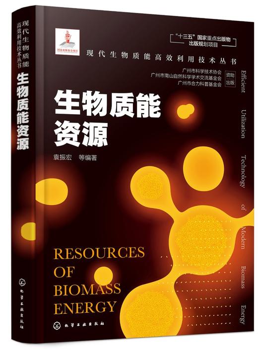 现代生物质能高效利用技术丛书 生物质能资源 商品图0