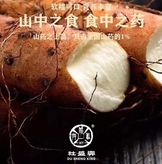 650年老字号杜盛兴2025霜降后新采无农化铁棍山药 商品图0