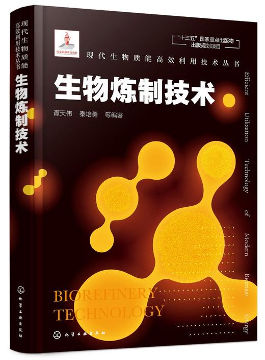 现代生物质能高效利用技术丛书 生物炼制技术 商品图0