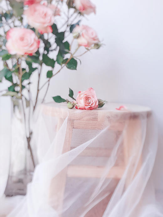 多头玫瑰折射【少女的眼，应该满怀清明大意和温柔阳光】简小姐精选 新品温柔渐变粉色多头玫瑰 折射9+1枝（防花损） 2束包邮 下单72小时发货 商品图5