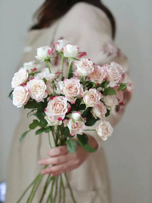 多头玫瑰折射【少女的眼，应该满怀清明大意和温柔阳光】简小姐精选 新品温柔渐变粉色多头玫瑰 折射9+1枝（防花损） 2束包邮 下单72小时发货 商品图9