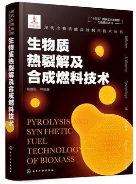 现代生物质能高效利用技术丛书 生物质热裂解及合成燃料技术