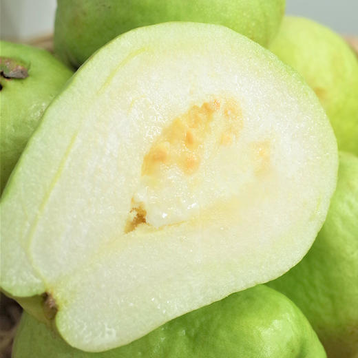 【流口水的番石榴】白心珍珠芭乐 鲜甜清脆 肉厚籽少 新鲜现摘 回味无穷 顺丰包邮 商品图3