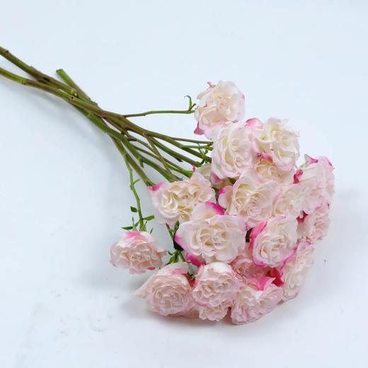 多头玫瑰折射【少女的眼，应该满怀清明大意和温柔阳光】简小姐精选 新品温柔渐变粉色多头玫瑰 折射9+1枝（防花损） 2束包邮 下单72小时发货 商品图6