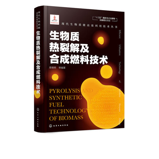 现代生物质能高效利用技术丛书 生物质热裂解及合成燃料技术 商品图5