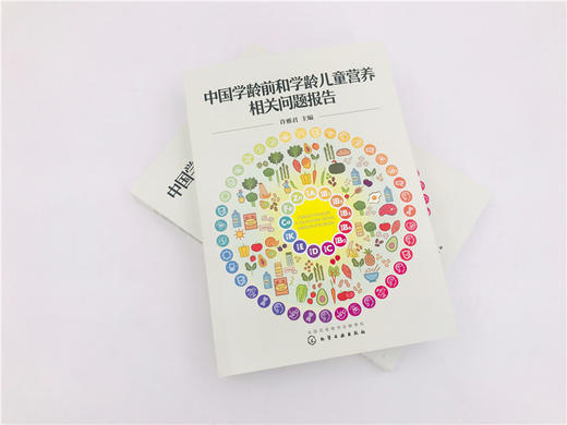 中国学龄前和学龄儿童营养相关问题报告 许雅君 改善儿童青少年营养健康状况干预措施和政策书 营养不良膳食结构失衡饮食行为问题 商品图3