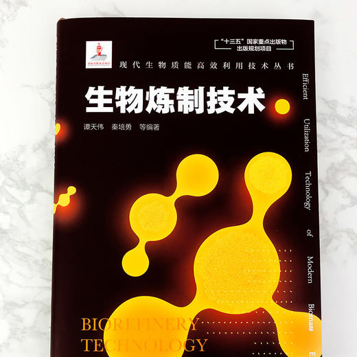 现代生物质能高效利用技术丛书 生物炼制技术 商品图4