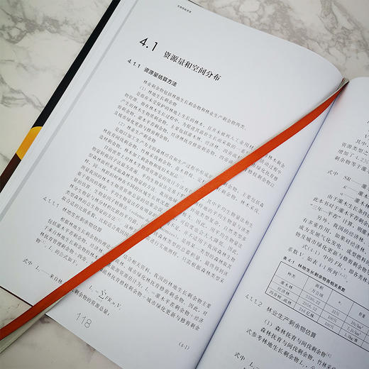 现代生物质能高效利用技术丛书 生物质能资源 商品图4